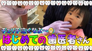 【初めての歯医者さん🪥】チェリ子泣かずに行けるかな！？☺️