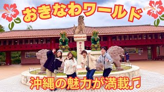 【沖縄観光スポット】沖縄観光に困ったら『おきなわワールド』へ！沖縄の魅力が全て詰まった場所です♪