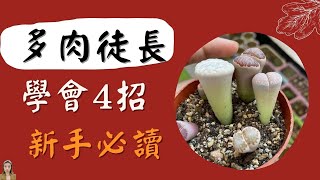 多肉植物養護|7月8月徒長變青菜的多肉，9月份試試這樣養，不信10月不變紅|花花世界