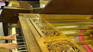 Erard Klinkenberg Pianoforte