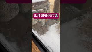 ［旅行］東北の日本海側の雪☃️☃️☃️