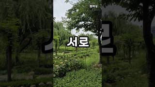 인간Humanㅣ인연. 깨달음. 참구. 법구. 구도자. 힐링. 명상. #shorts #인문 #철학 @truthspot