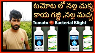 #టమోట నల్ల చుక్క, కాయ గజ్జి,నల్ల మచ్చ#Tomato BLIGHT Controlled #NanoSilver Oxyveg Madanapally farmer