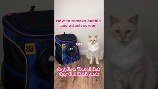 How to remove the bubble and attach the screen on your cat backpack 😸