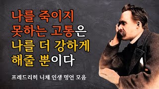 철학의 망치와 같은 니체의 인생 명언 모음 |  나를 죽이지 못하는 고통은 나를 더 강하게 해줄 뿐이다