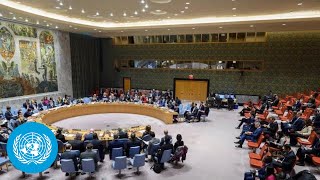 Ukraine: Maintenance of Peace and Security - Security Council | United Nations LIVE