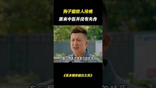 狗子能给人治病，原来中医并未失传