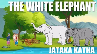 The white elephant | Jataka Katha | Tales animated