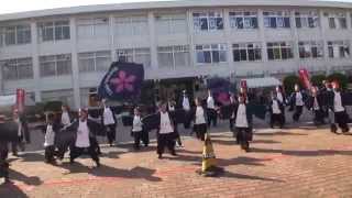 TEAM SAKURA in秋大祭２０１４