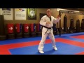 1st 5 basic hapkido kicking combinations