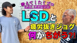 【教えて！たくプロ】LSD と疲労抜きジョグって何が違うの？ 〜アラ還ランナー仲人なかちゃん サブ310 挑戦中 〜 @MarathonLearningchannel