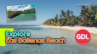 DISCOVER PARADISE AT LAS BALLENAS BEACH – Las Terrenas | Drone Views, Local Spots \u0026 Relaxation