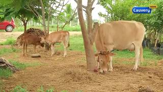 ஒருங்கிணைந்த விவசாயம் (Integrated Farming) | Manvasanai