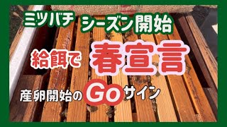 シーズン開始　給餌で春宣言　産卵開始のGOサイン　採蜜の２ヶ月前に産卵開始のため砂糖水給餌を開始します。毎日給餌も苦にならない　らくらくハイブリド巣箱が強い味方です。　＃蜜蜂＃給餌＃養蜂