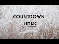 Countdown Timer using JavaScript | DAY2 | 100 Day - 100 Code Challenge | HTML & CSS