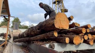 1 hour of coordinated work of professionals in the production of wood chips.