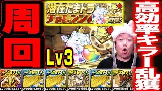 【パズドラ解説】潜在たまドラチャレンジLv3・超簡単高速周回編成【難易度低め】