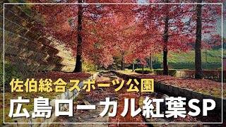 広島のローカルな秋景色を探す（佐伯総合スポーツ公園）