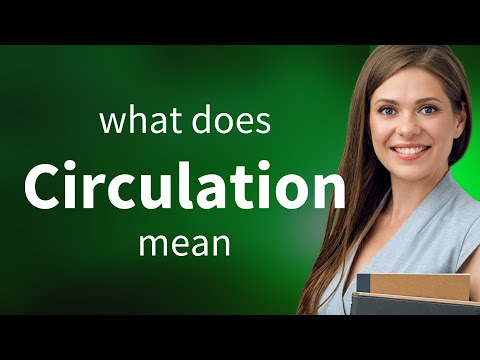 What is the root word of circulation?