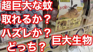 【巨大】蚊？一回きりガチャで出たものは何か？ドで蚊い危険生物大百科