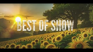 Best of Show Winner Reveal - Gold Leaf Awards 2025