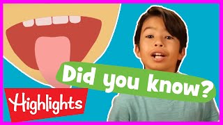 Educational s for Kids | 2020 | Fun Learning s for Kids | Did You Know? | Highli