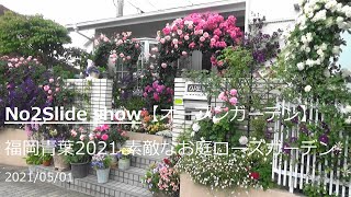 No2Slide show【オープンガーデン】福岡青葉2021 素敵なお庭ローズガーデン　スライドショー2021/05/01