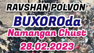 RAVSHAN POLVON TOJIGISTONDAN MAQSUD XOJINI BUXORO LAQABLI TULPORIDA. NAMANGAN CHUST 28.02.2023