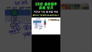 2025년 을사乙巳년 을유일주 운세  #을사년 운세  #25년 운세