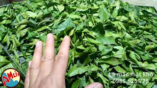 Sấy lá mắc mật khô để kịp gửi khách làm gia vị vịt quay Lạng Sơn