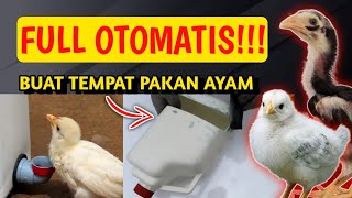 FULL OTOMATIS!!! CARA BUAT TEMPAT PAKAN AYAM OTOMATIS DAN ANTI TUMPAH DARI JERIGEN MINYAK