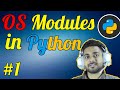 View Current Working Directory in Python | OS Module