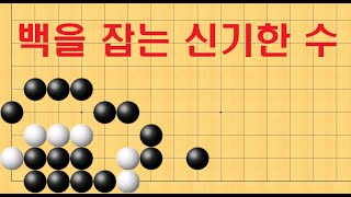 바둑 묘수 사활 - 백을 잡는 신기한 수? 어디일까요?