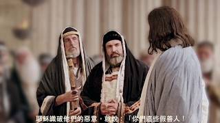 常年期第二十九主日〖瑪竇福音 22:15-21〗