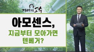 아모센스, 지금부터 모아가면 텐베거? / 재야의 고수 / 매일경제TV