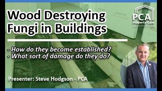 Wood Destroying Fungi in Buildings