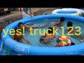 yes truck123（トラック123の会社案内 動画）