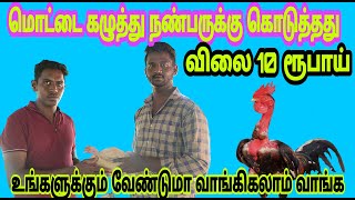 மொட்டை கழுத்து கோழி 10 ரூபாய்