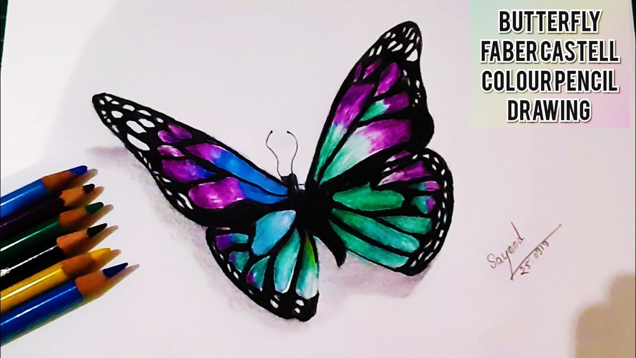 Realistic Butterfly Drawing