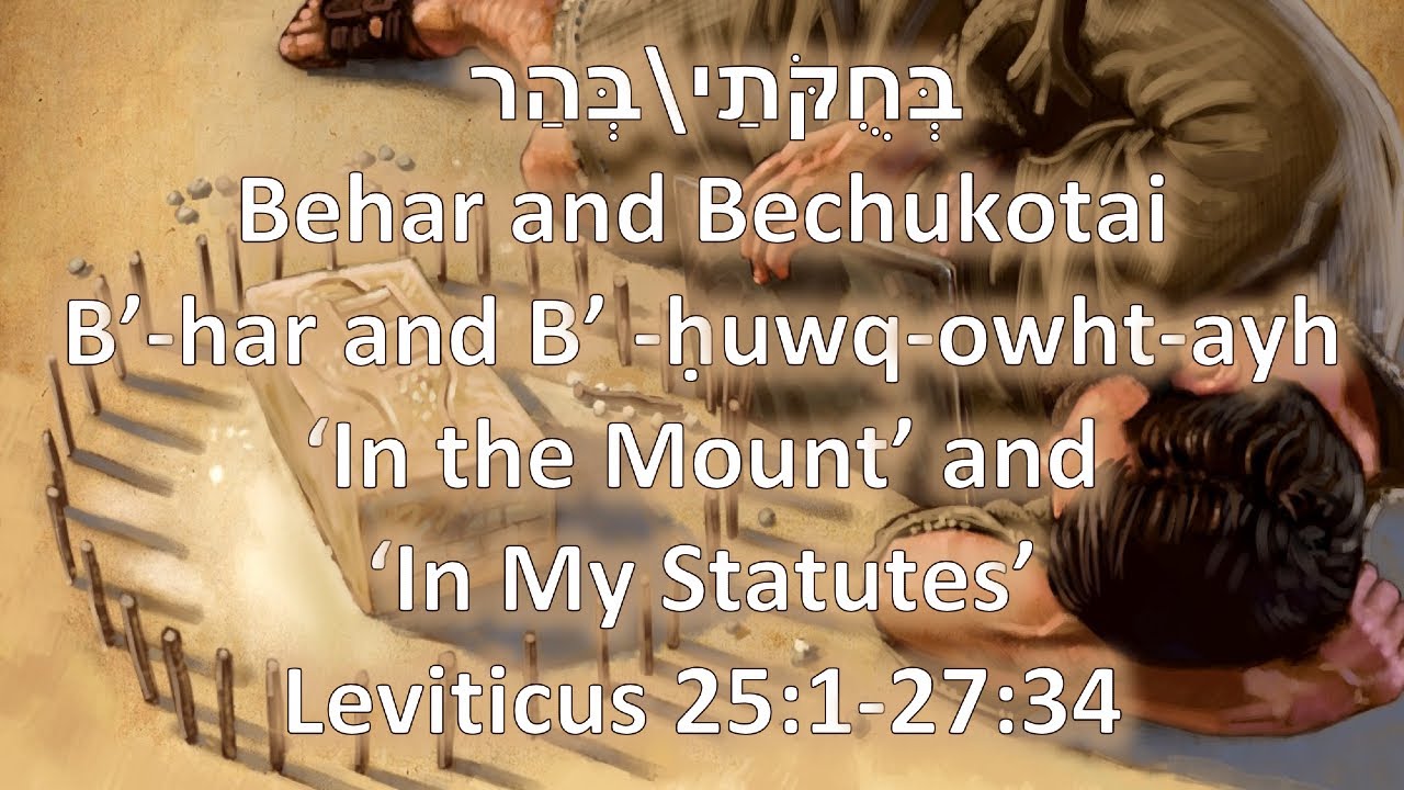 On The Mountain And In My Statutes (Torah Portions: Behar And ...