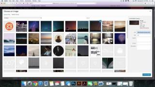 Divi Fullwidth Header Module with Scroll Down Icon
