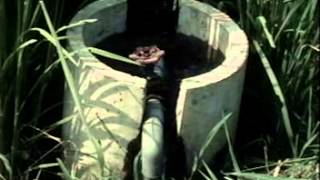 茨城県映画『水はいのち』（1984年（昭和59年度）制作）