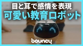 目と耳で感情を豊かに表現！ ロボット工学を学べる教育ロボット「Winky」