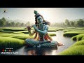 sweet krishna flute music peace of mind anxiety relief 🌿 relaxing relaxation for deep meditation