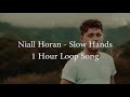 Niall Horan - Slow Hands (1 Hour Loop) | Lyrics in the description!