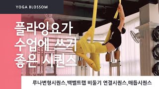 플라잉요가_루나변형시퀀스,백벨트랩 비둘기연결시퀀스,매듭시퀀스#요가블라썸