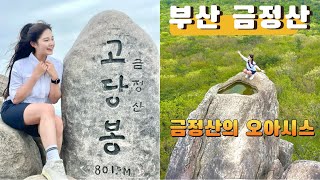 사막에 오아시스가 있다면 금정산에는 금샘이 💦⛰️