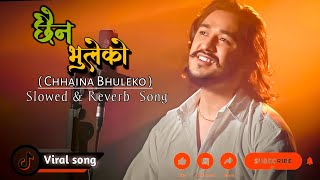 Chhaina Bhuleko । छैन भुलेकाे।Prashant Poudel ( Slowed \u0026 Reverb) By #NarayanBasnetOffical 2023/2079