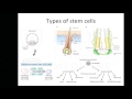 Emory Cardiology Grand Rounds 11-04-2016