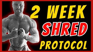 How to get SHREDDED on the carnivore diet (Protocol)